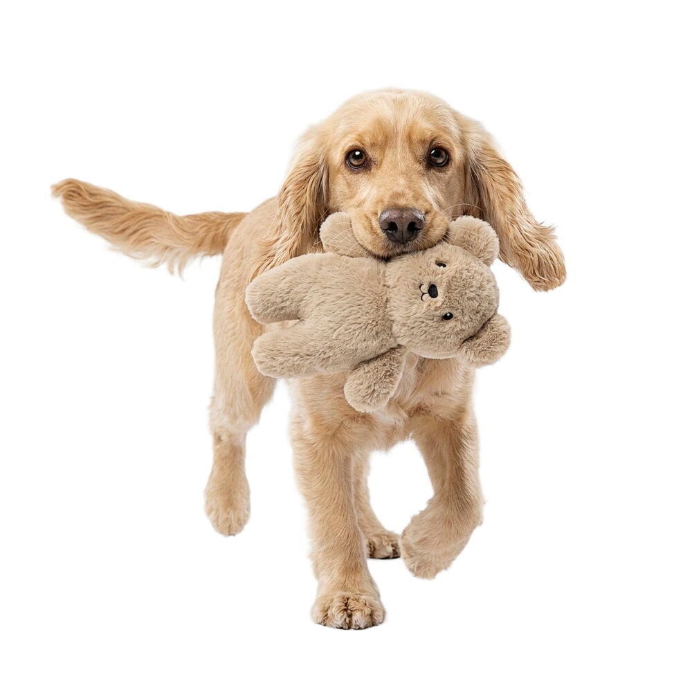 Hundeleke Pet Club Furry Sweetheart, en lys brun plysjbamse, holdt av en golden hund.