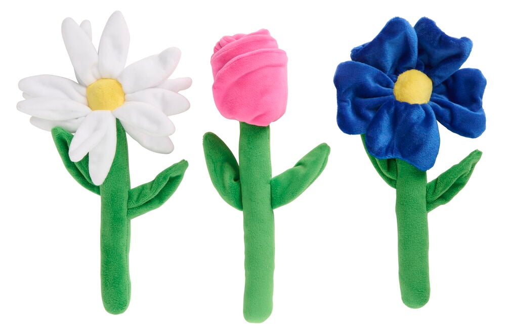 Plysj rosa roseknopp, hvit prestekrage med gul midt og blå blomst hundleker med grønne stilker.