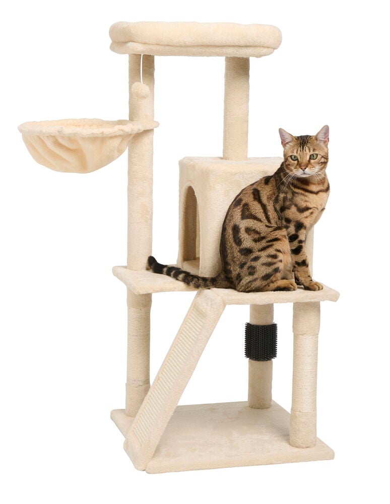Cremeweißer mehrstufiger Katzenbaum mit Kratzstämmen, Hängematte, Haus, Rampe und einer Bengalkatze.