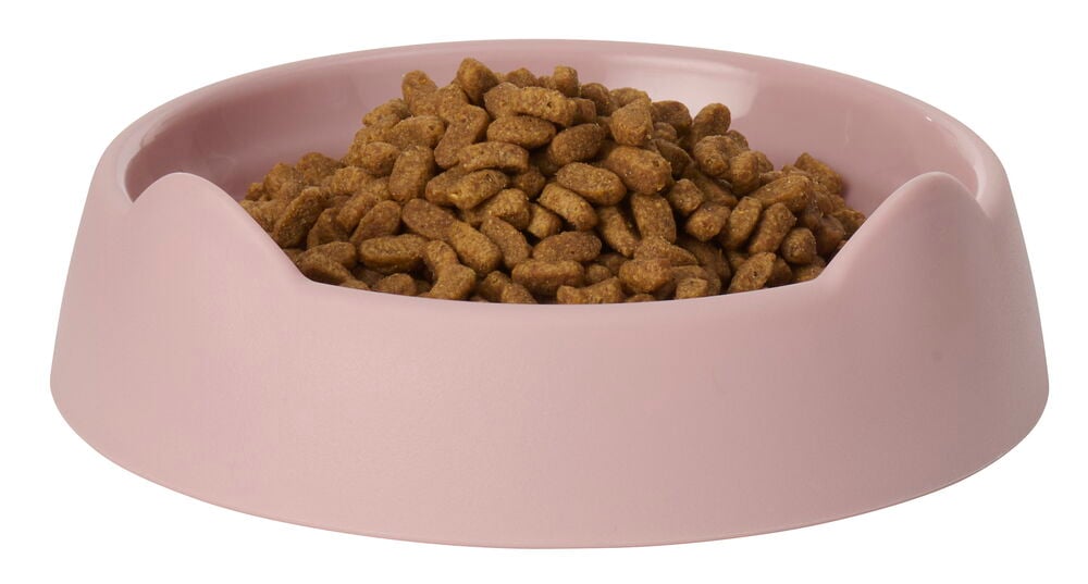 Vaaleanpunainen muovinen ruokakuppi Ø15 cm, täynnä ruskeaa kuivaruokaa.