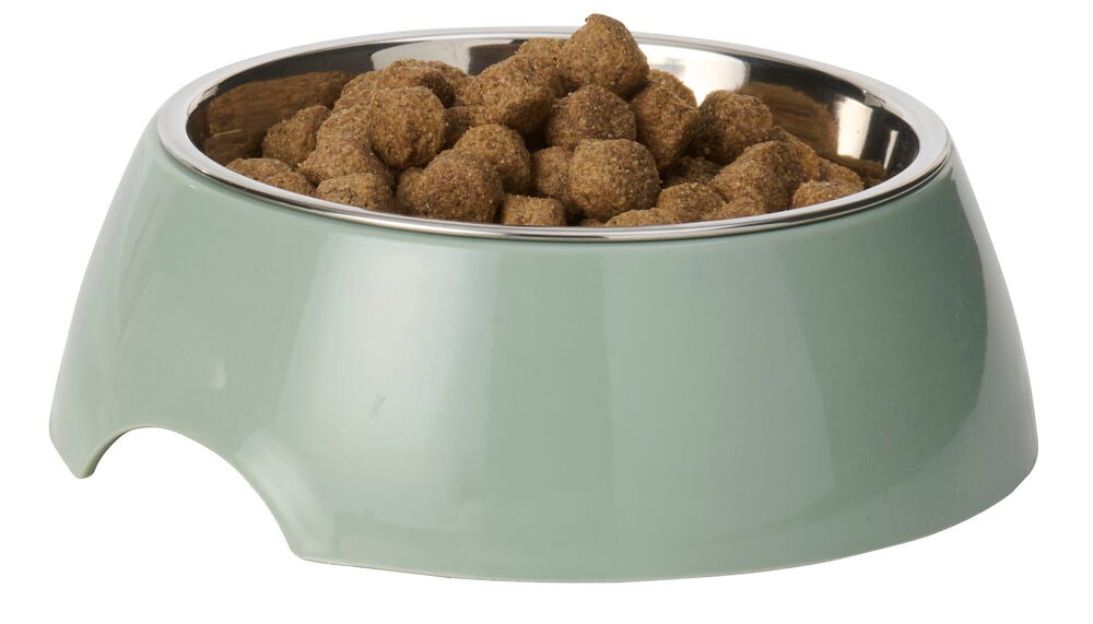 Lysegrønn Matskål 300 ml Rustfritt stål / Plast, fylt med tørrfôr.