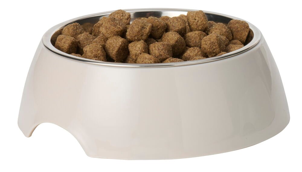 En beige Matskål 300 ml Rustfritt stål / Plast med sølvfarget innerdel, fylt med tørrfôr.