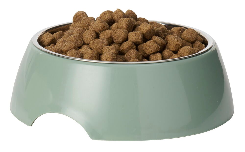 Futternapf 700 ml Rostfreier Edelstahl / Plastik, hellgrün, gefüllt mit braunem Tierfutter.