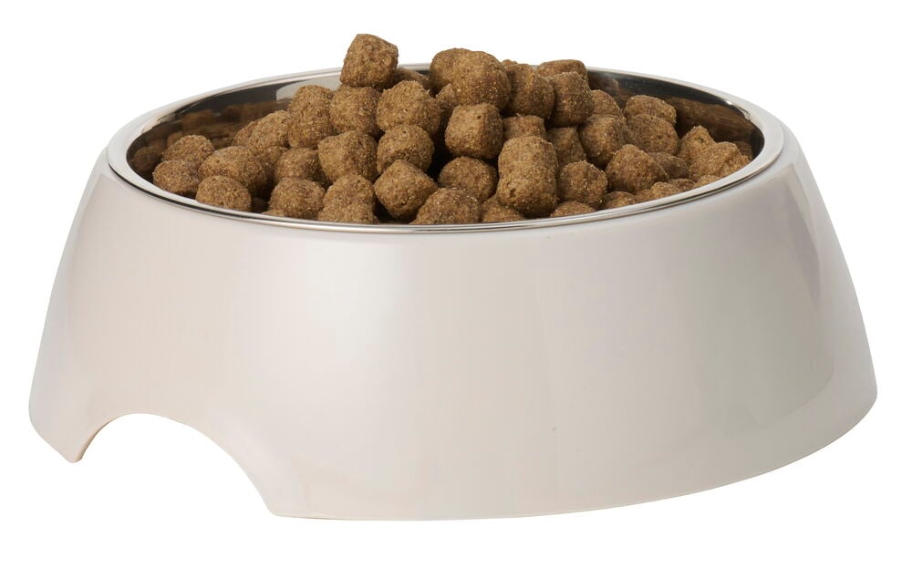 Ein cremefarbener Futternapf 700 ml Rostfreier Edelstahl / Plastik mit Stahlbehälter, gefüllt mit Trockenfutter.