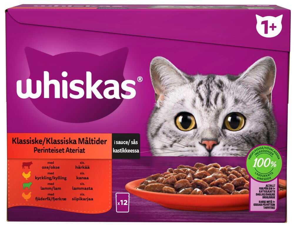 Violetti pakkaus Whiskas 12x85g Classic Selection in Sauce kissojen märkäruokaa, kissan ja ruoan kanssa.