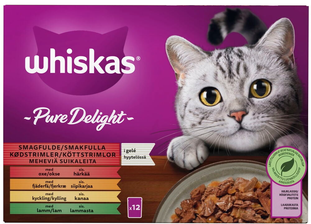 Kissojen märkäruoka Whiskas 12x85 g Pure Delight in Gelé, jossa kissa ja ruokakuppi.