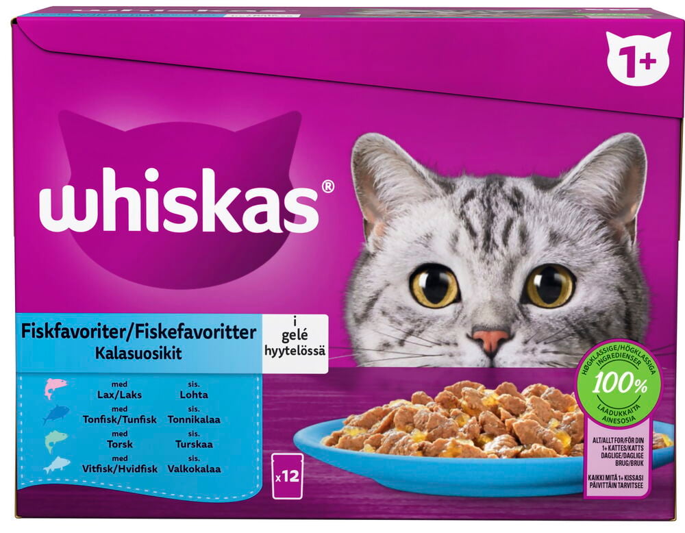 Purppuranvärinen Whiskas 12x85 g Fish Selection Jelly kissojen märkäruokalaatikko, jossa kissa ja ruokakulho.