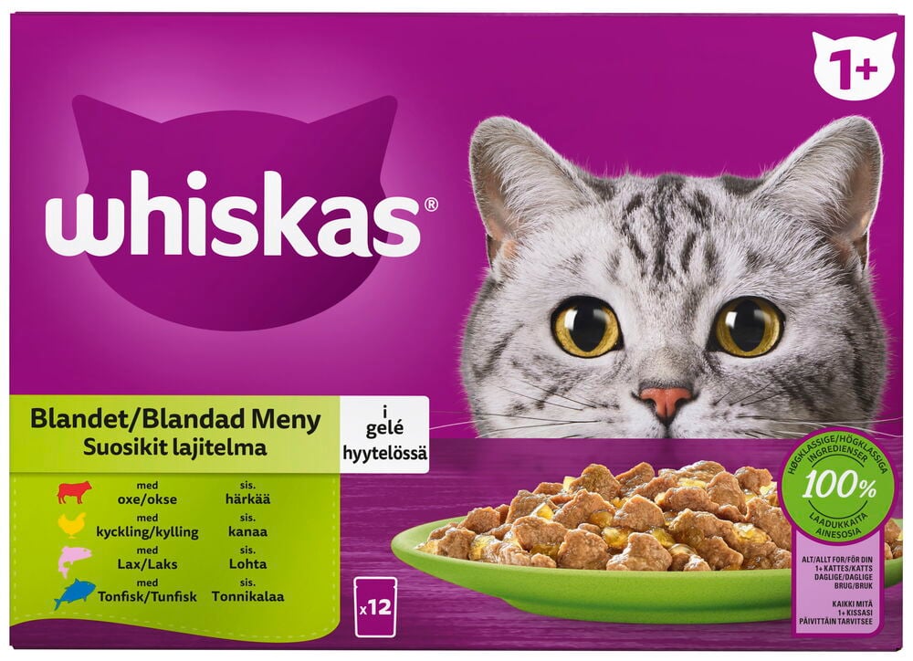 Whiskas 12x85g kissojen märkäruoka lajitelmapakkaus, jossa kissa ja ruoka-annos.