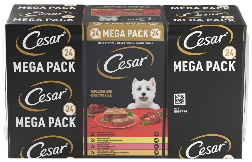 Cesar 24x150 g Våtfôr, hund, tre svarte Mega Pack-esker med en hvit hund og terrine.