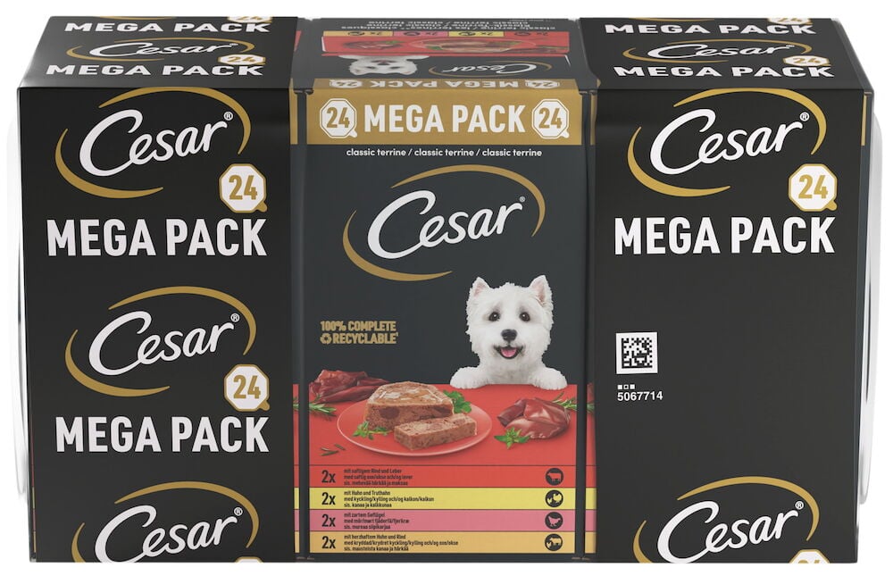 Svart papp-multipack med Cesar 24x150g våtfôr for hund, med en hvit hund på forsiden.