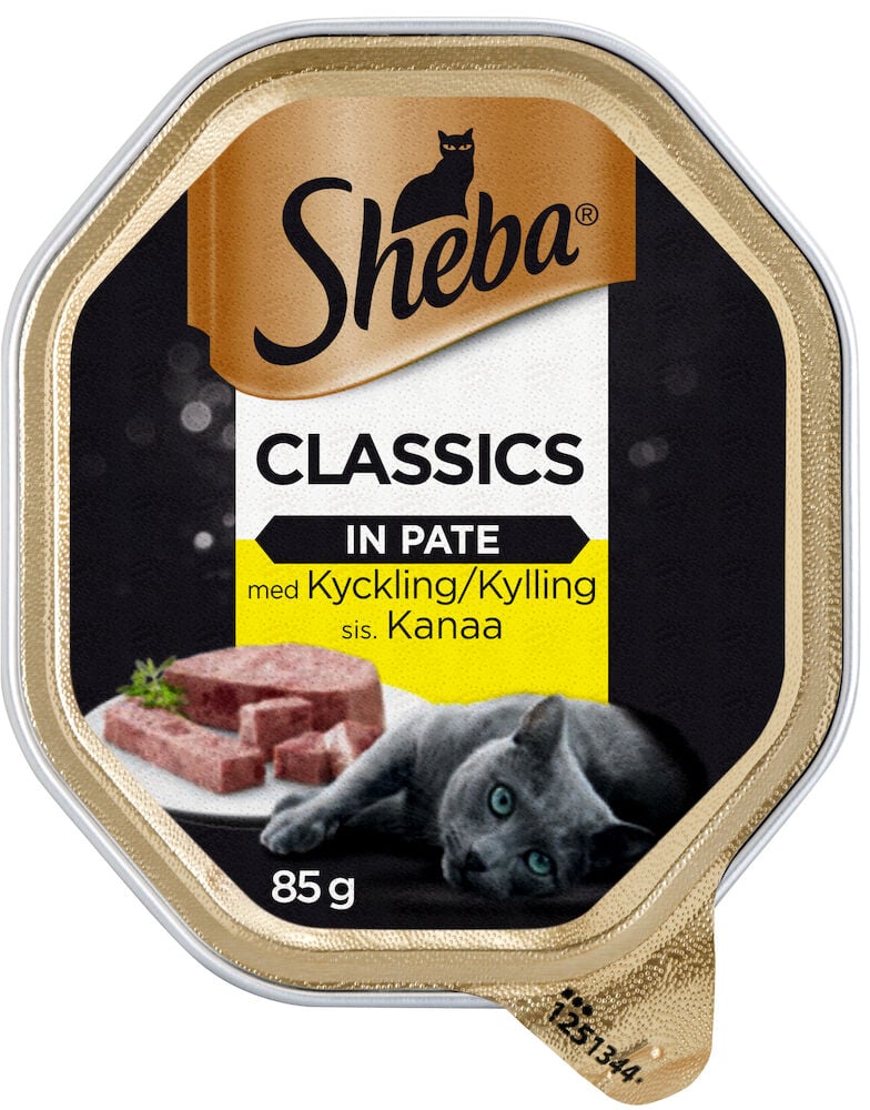 En portion våtfoder för katt med paté och katt.