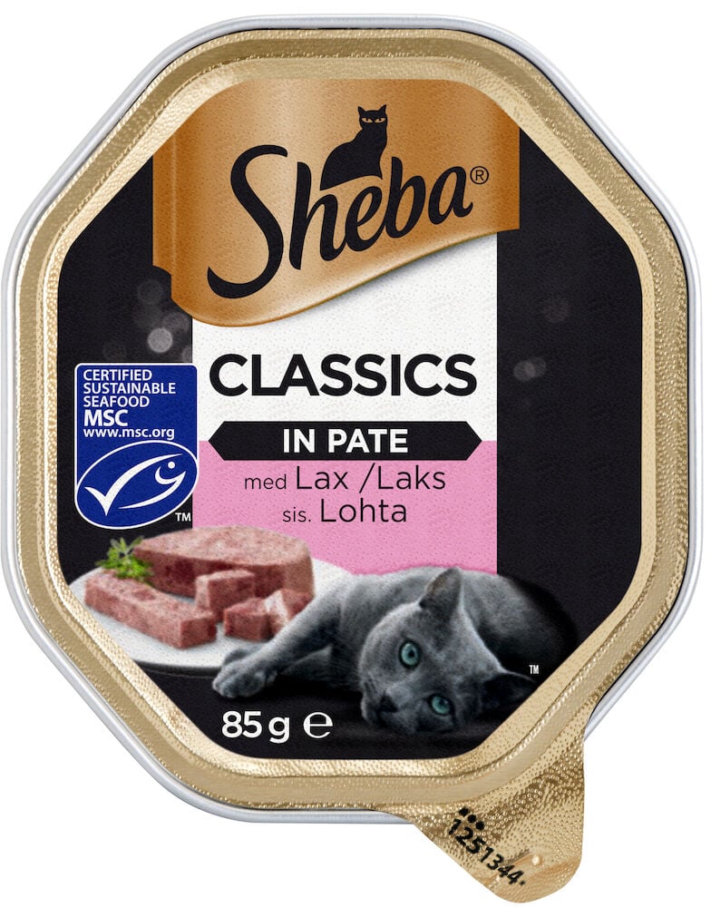 Svart förpackning med laxpaté och en grå katt.