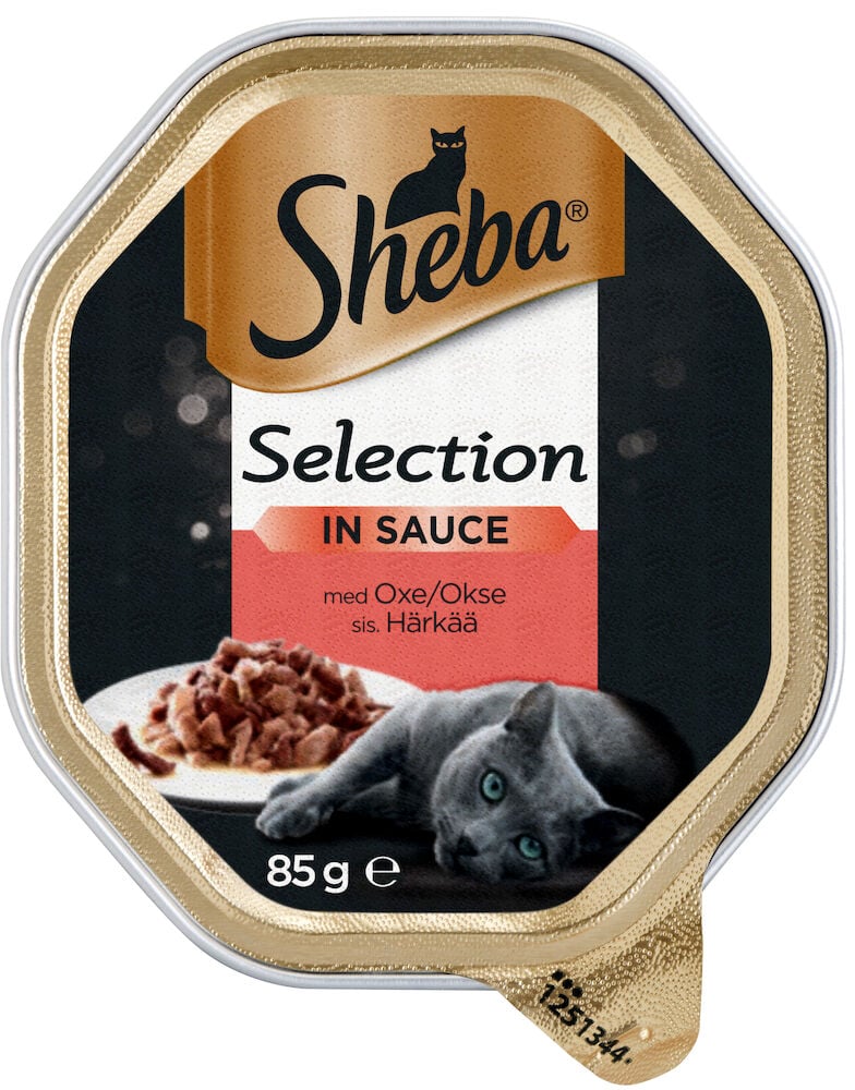 Guldfärgad förpackning med våtfoder och grå katt.