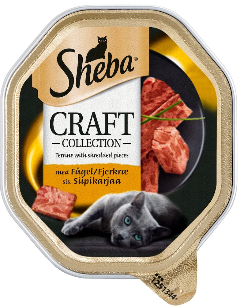 Fyrkantig förpackning med katt och köttbitar.