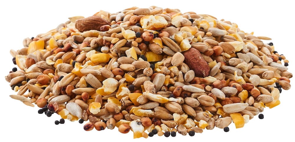 Blandning av skalfritt fågelfrö på vit bakgrund.