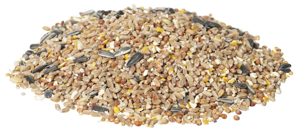Vildfågelfröblandning - 2