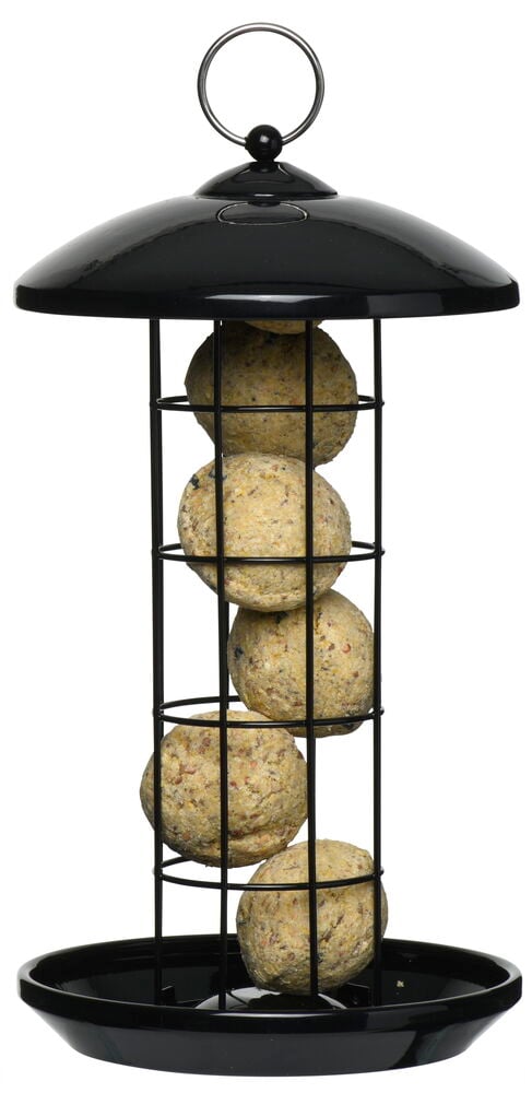 Fågelmatare för talgbollar - 2