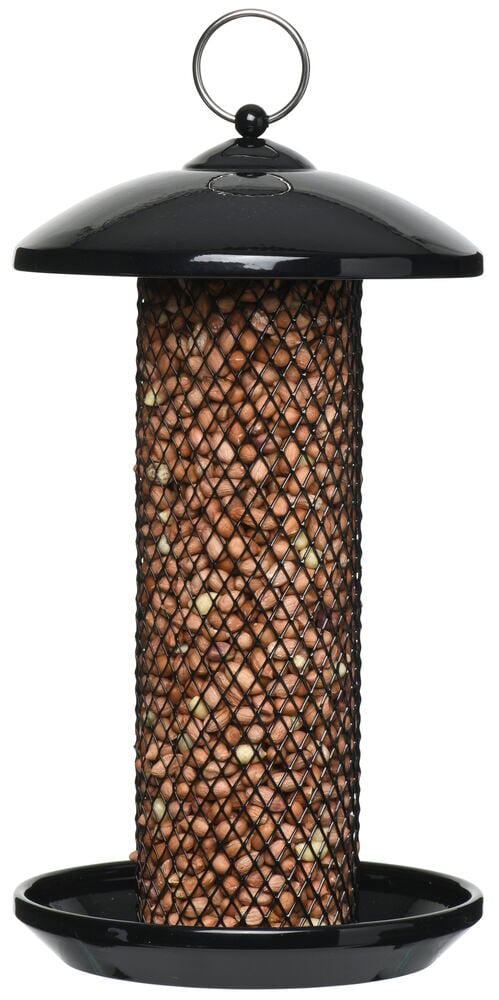 Fågelmatare för nötter - 2