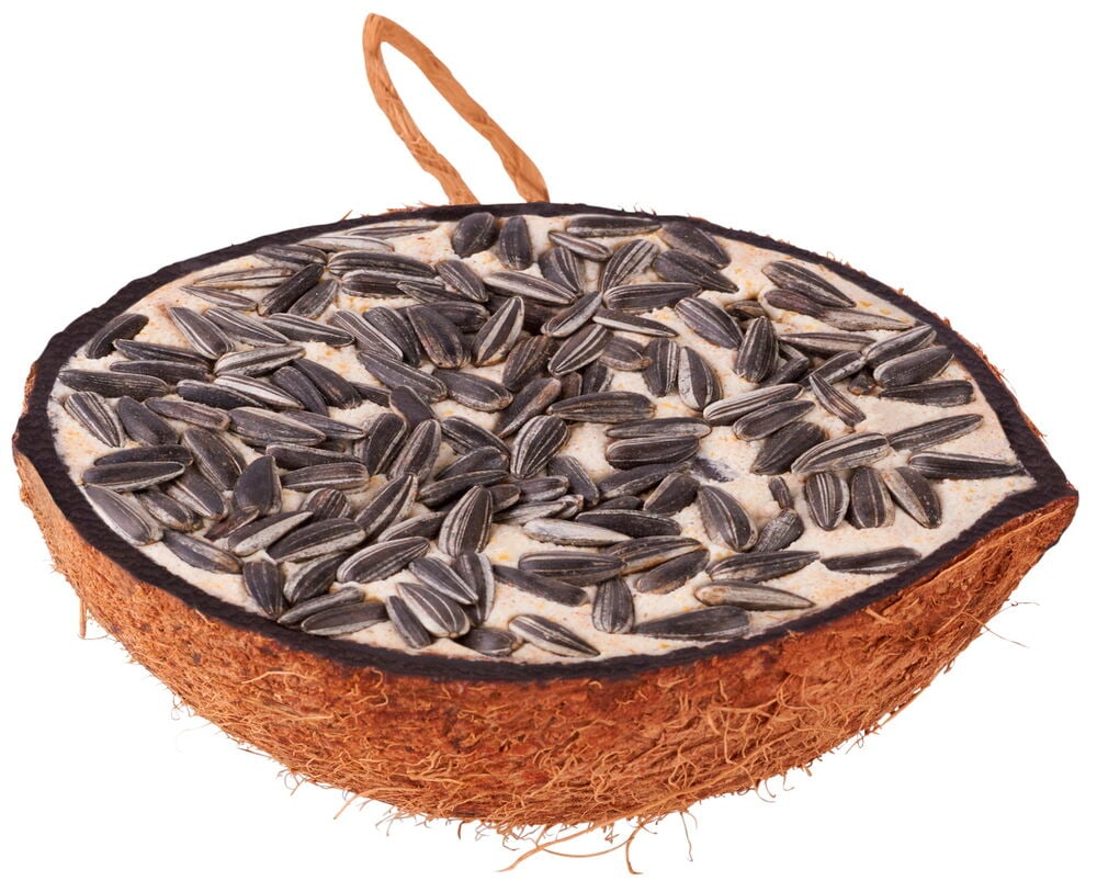 Fylld kokosnötshalva