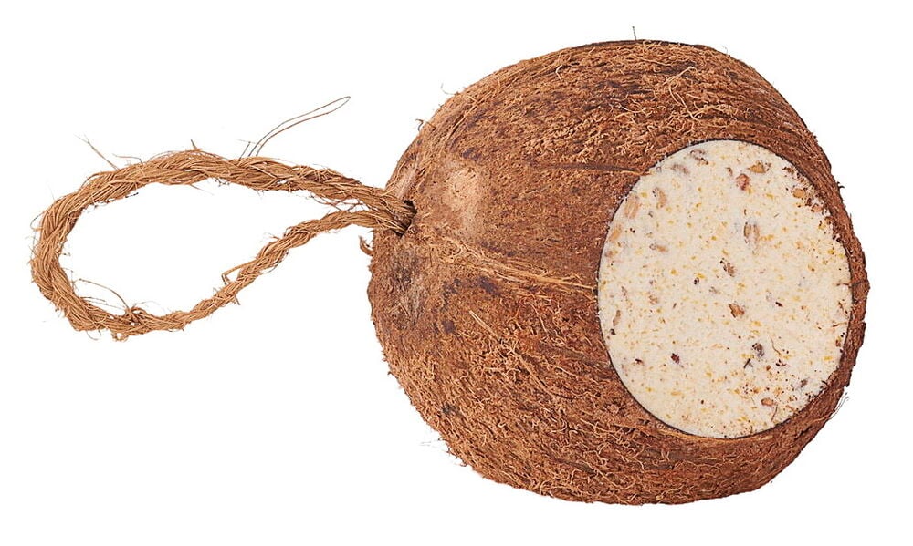 Brun, fibrøs fylt kokosnøtt med rund granulert fylling og flettet opphengssnor.