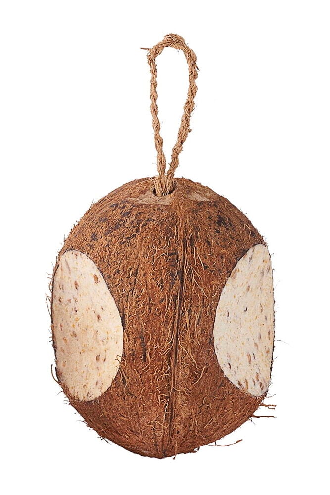 En brun fylt kokosnøtt med to store ovale frøutskjæringer og en opphengssnor i naturfiber.