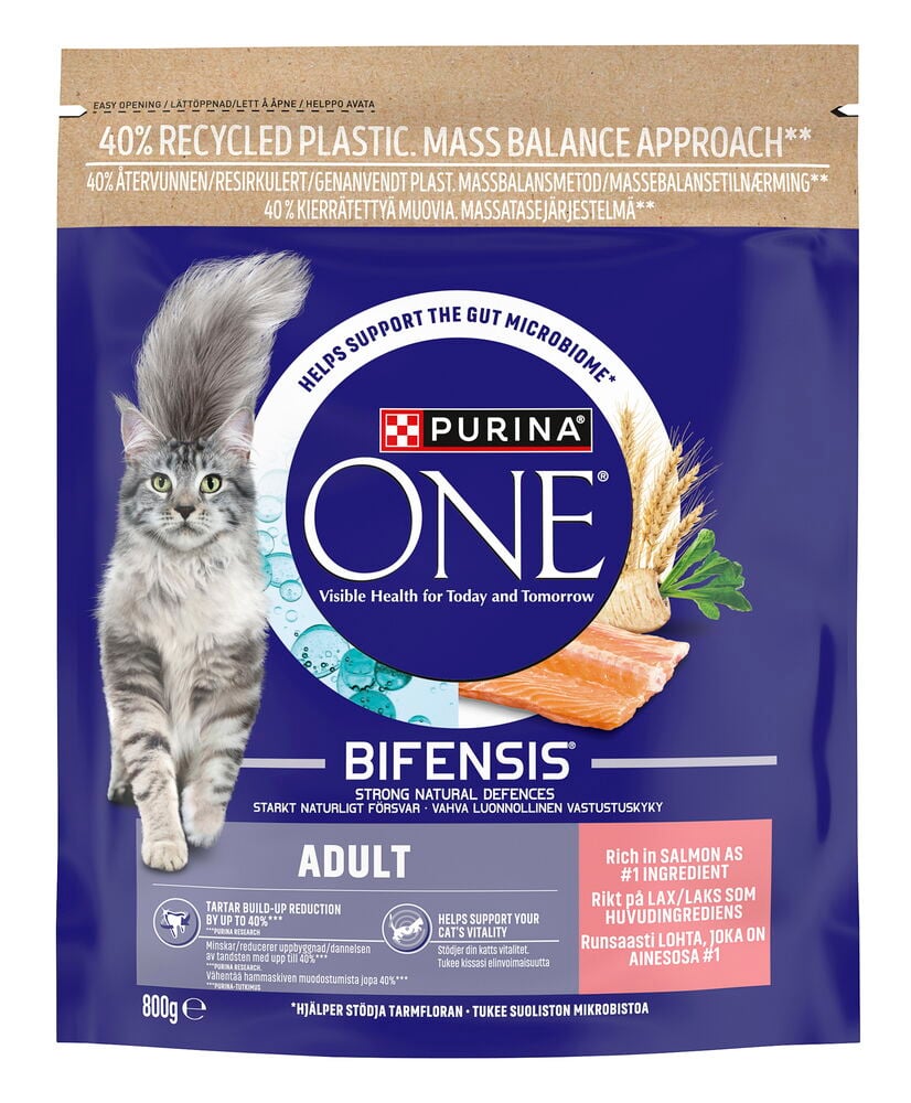 Kissojen kuivaruoka Purina ONE 800 g Aikuinen Lohi pakkaus, jossa kissa ja ainesosakuvia.