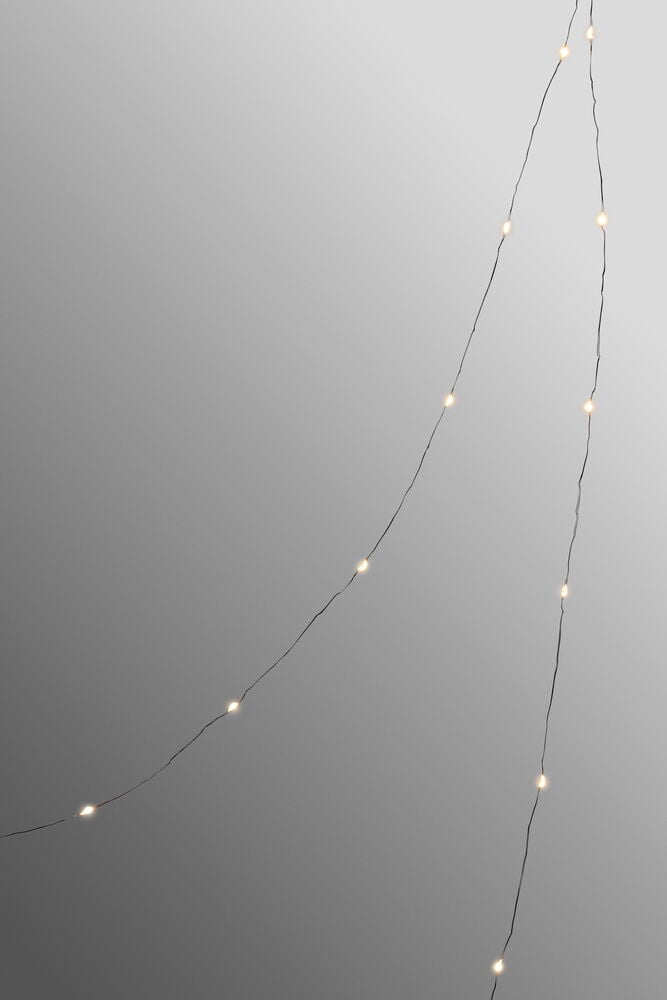 Ljusslinga Sirlig - 3