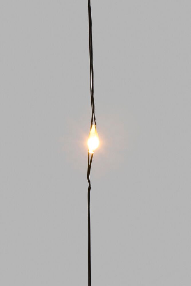 Ljusslinga Sirlig - 2