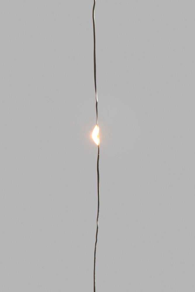 Ljusslinga Sirlig - 2