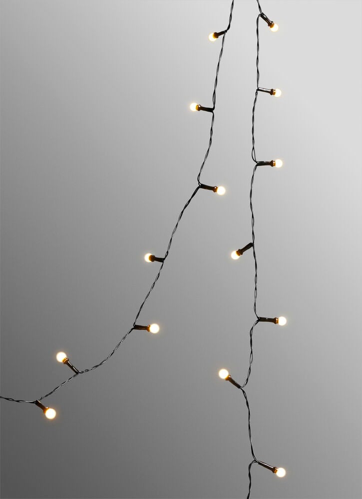 Ljusslinga Snowberry