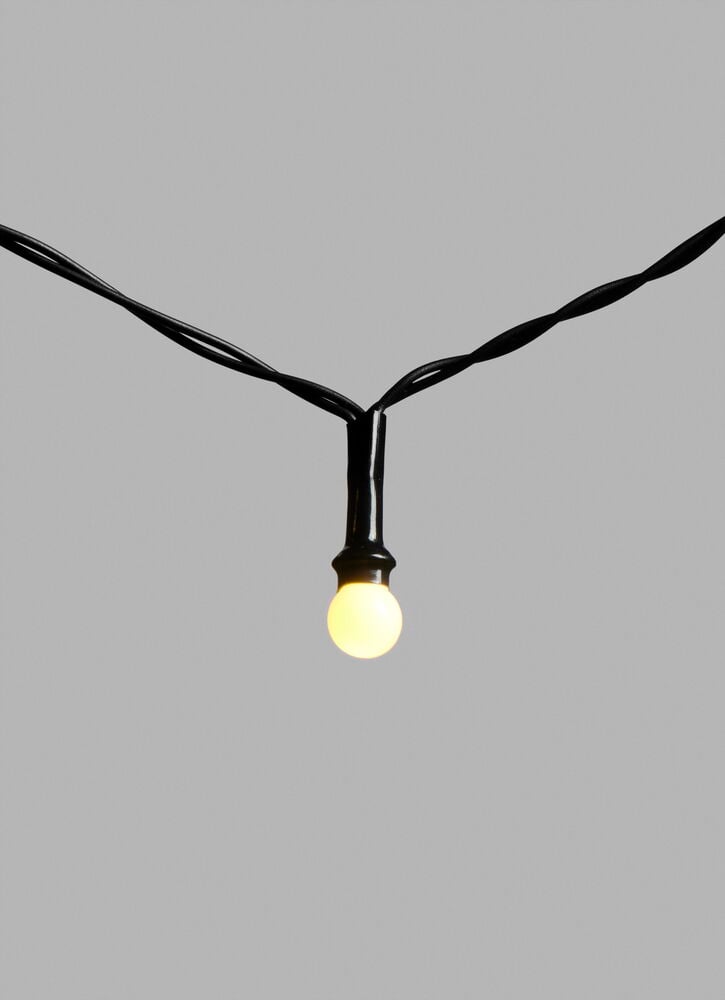 Ljusslinga Snowberry - 2