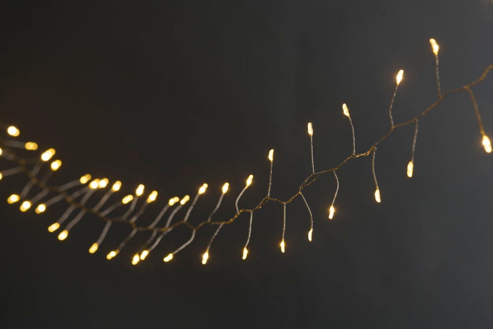 Ljusslinga Taurus - 5