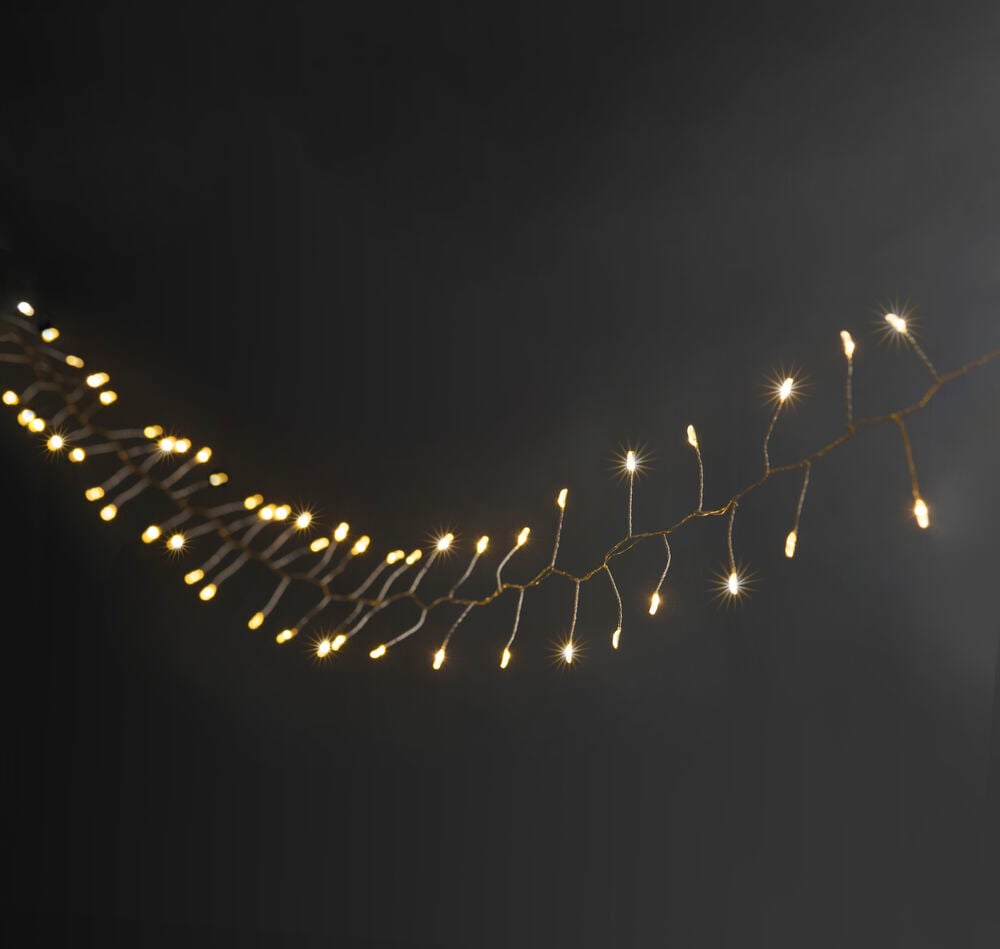 Ljusslinga Taurus - 6