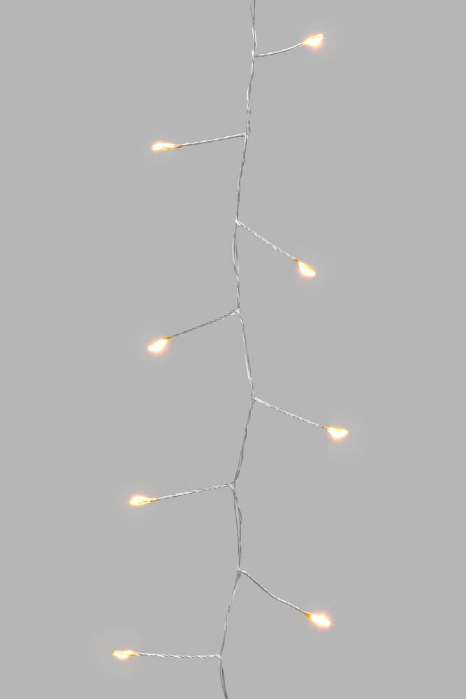 Ljusslinga Taurus - 2