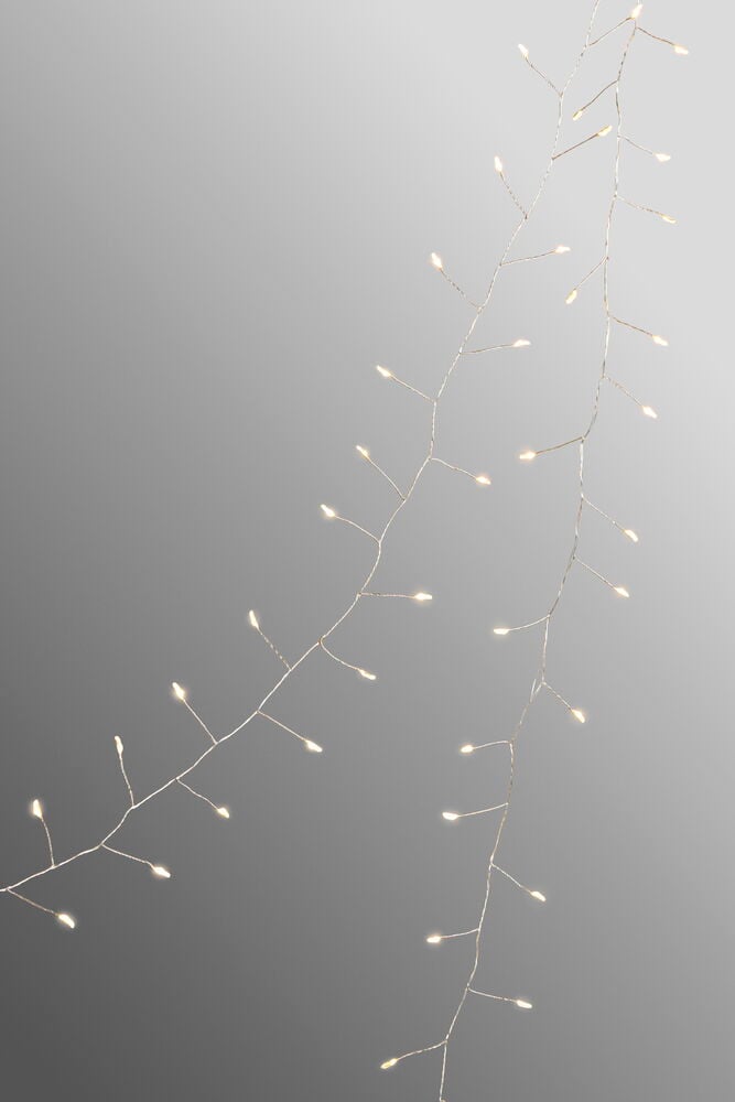 Ljusslinga Taurus - 4