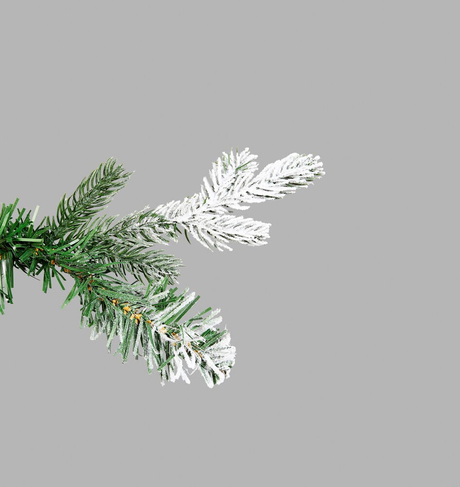 Joulukuusi Colorado - 3