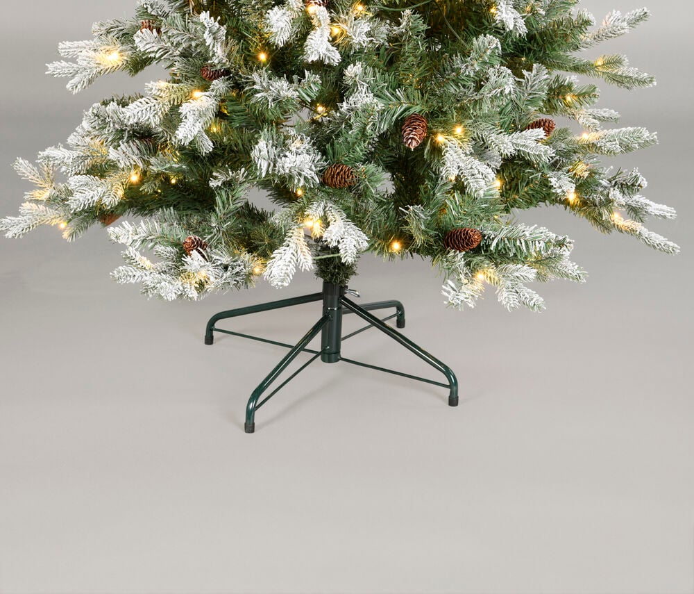 Julgran Colorado - 2