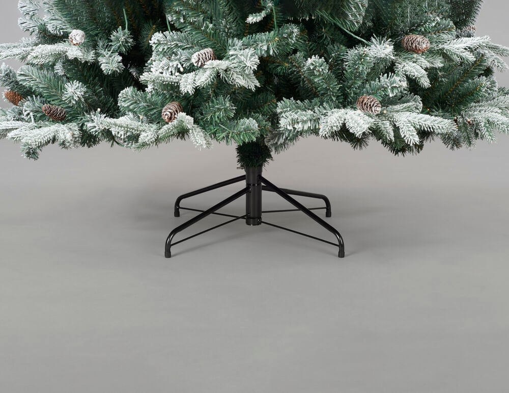 Julgran Colorado - 3