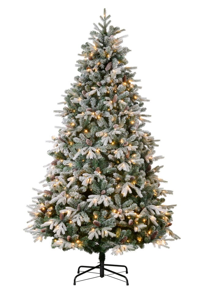 Juletre Colorado PVC/PE 480 LED, flokket, forhåndsbelyst med varmhvite lys og kongler.