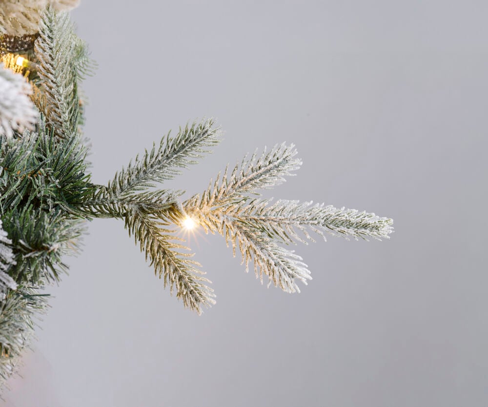 Nærbilde av en frostet Juletre Colorado 250 cm, 480 LED PVC/PE gren med varmhvitt lys.