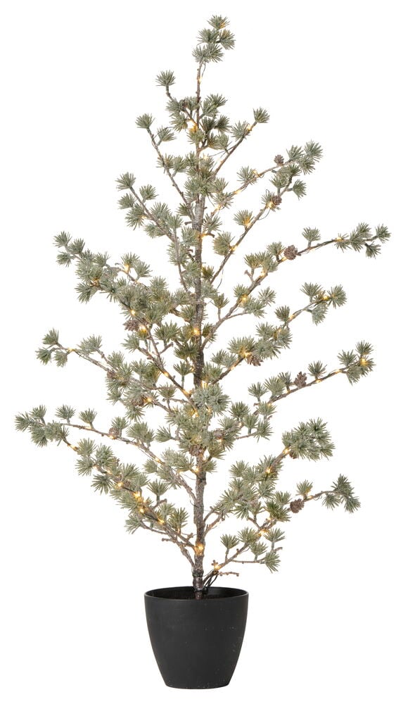 Dekorationsgran Sirdal