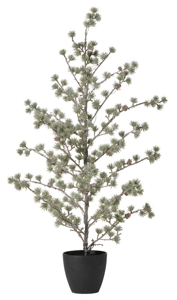 Koristepuu Sirdal - 2