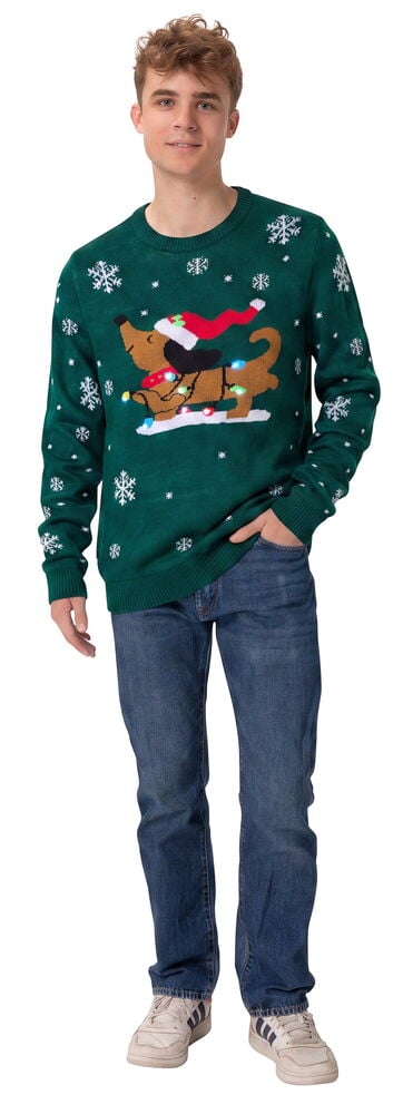 Mann trägt dunkelgrünen Weihnachtspullover mit LED-Hundemotiv, blaue Jeans und weiße Sneaker.