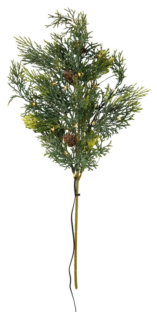 Koristevalaisin Larch Branch