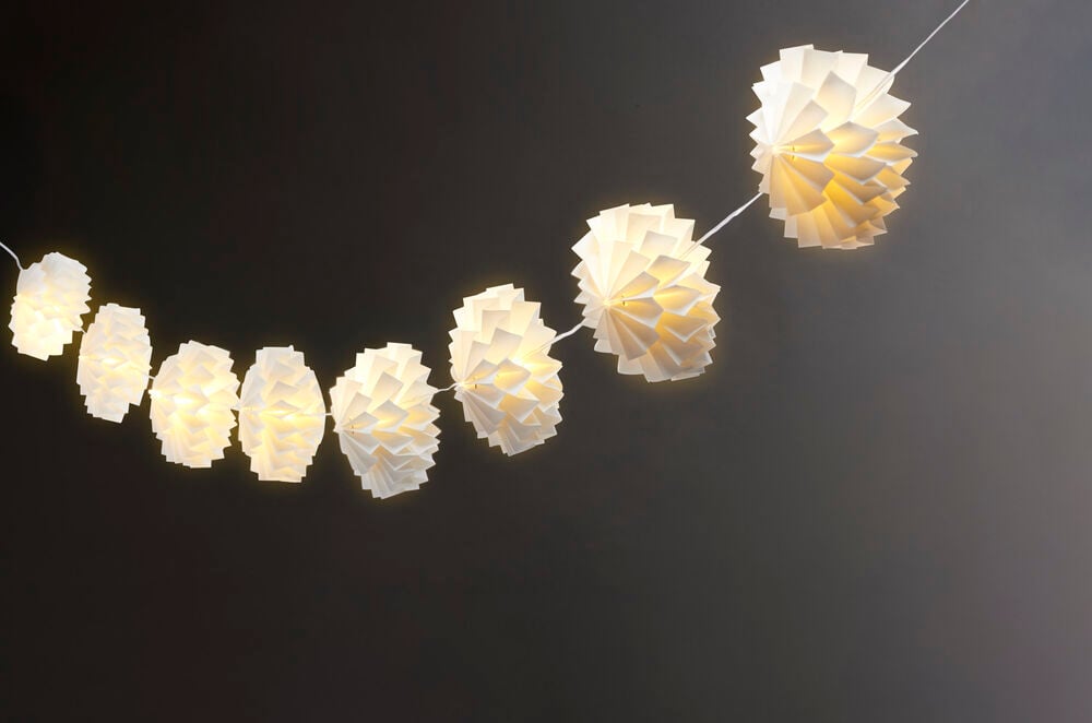 Ljusslinga Flora - 6