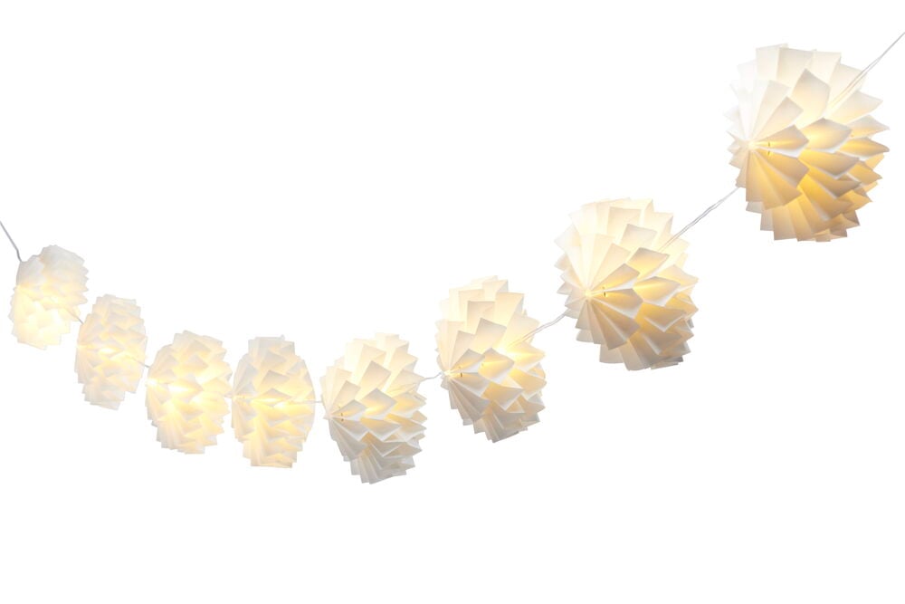 Ljusslinga Flora - 2