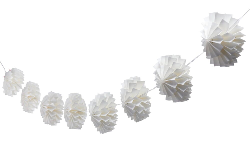 Ljusslinga Flora - 3