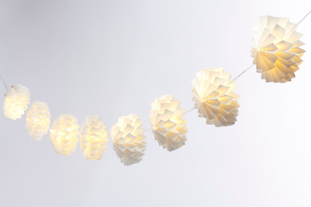 Ljusslinga Flora - 5