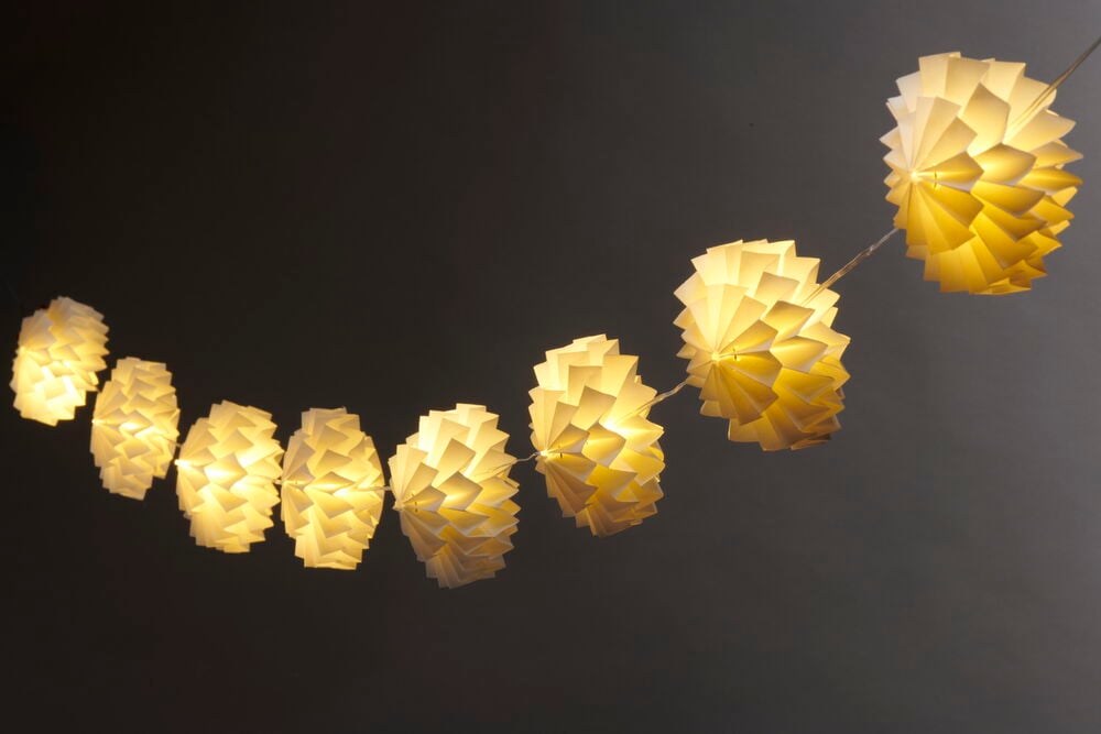 Ljusslinga Flora - 4