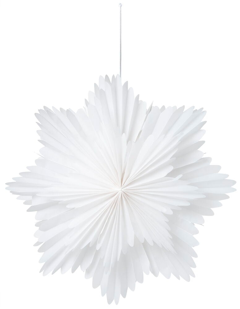 Adventsstjärna Venus